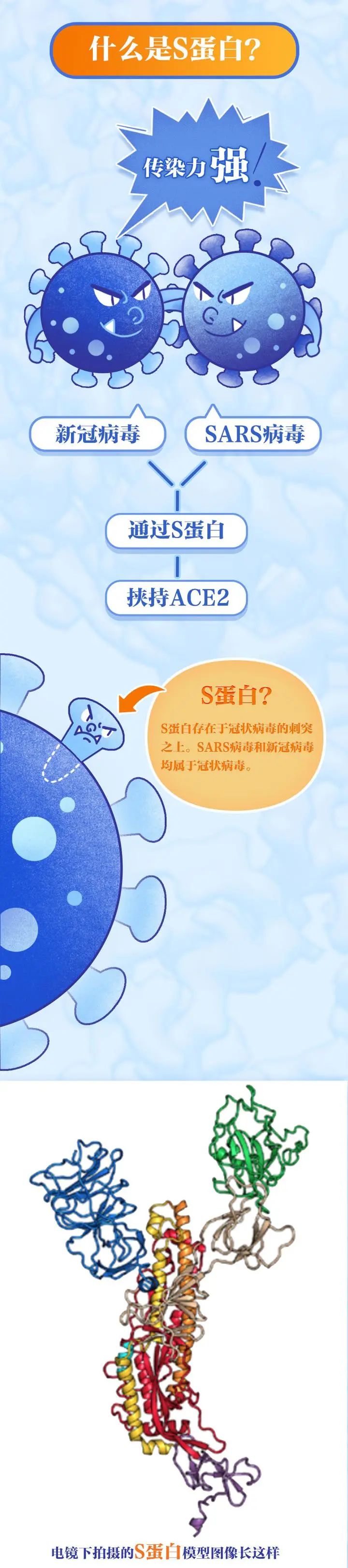 新冠病毒_03.jpg