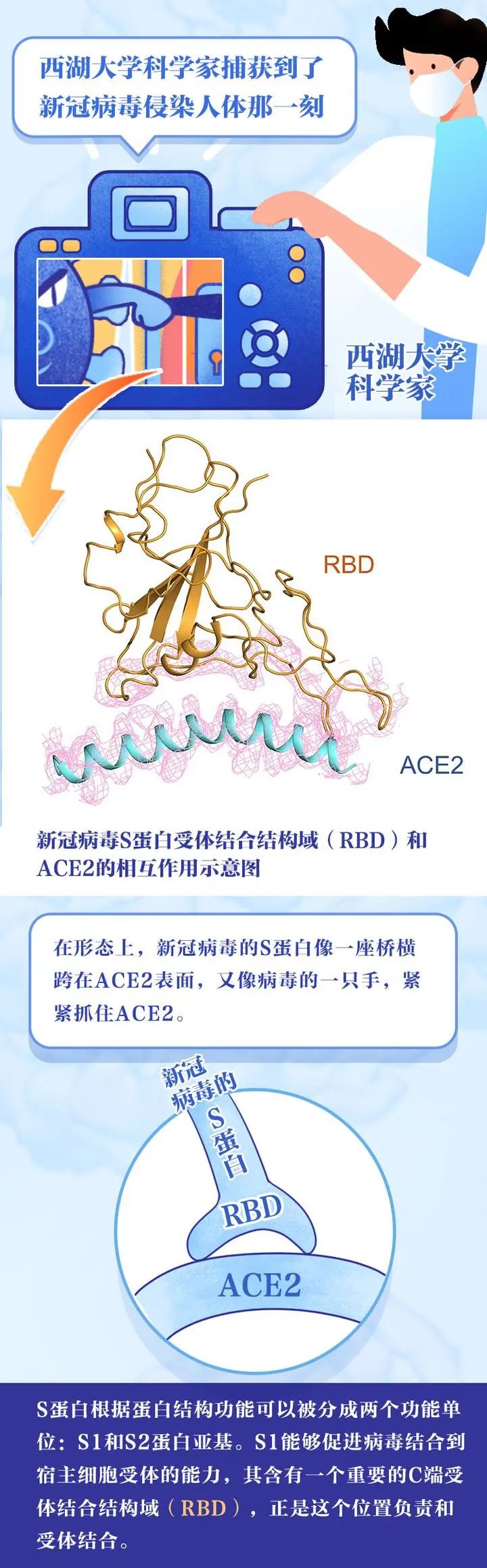 新冠病毒_05.jpg