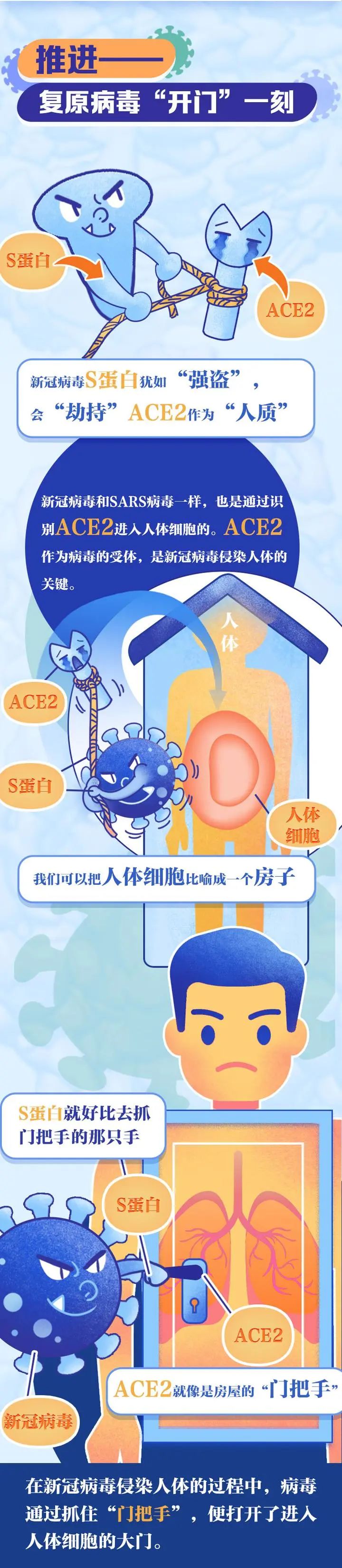 新冠病毒_04.jpg