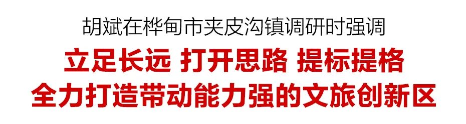 胡斌到桦甸市夹皮沟镇调研.jpg